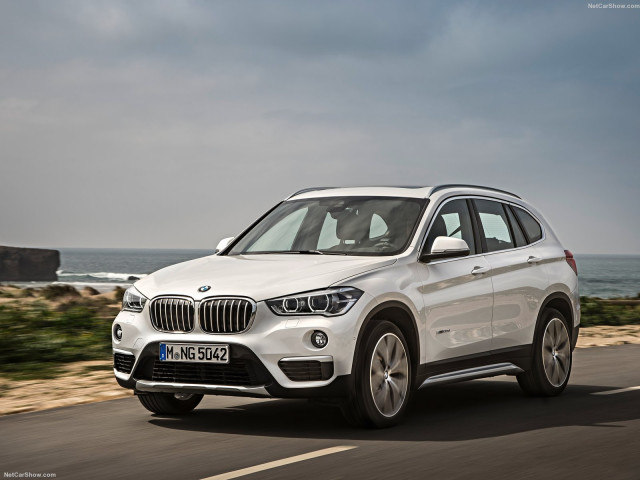 bmw x1 pic #143462