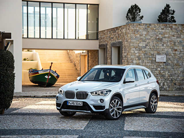 bmw x1 pic #143465