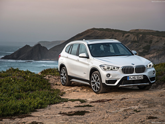 bmw x1 pic #143467