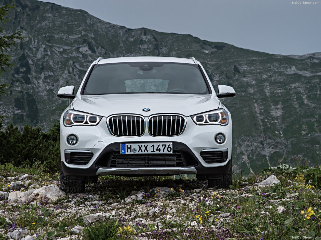 bmw x1 pic #146166