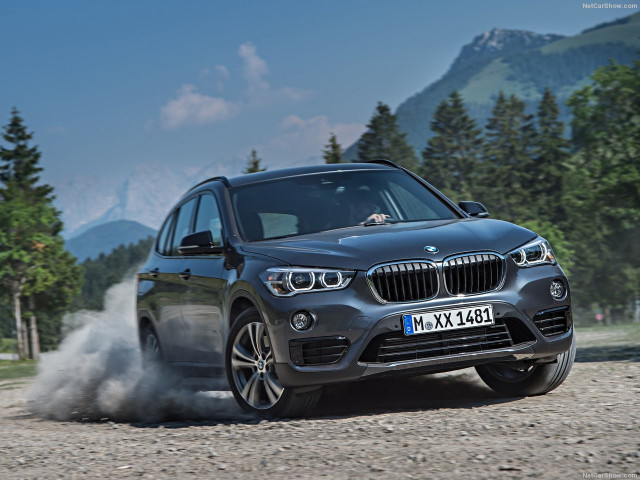 bmw x1 pic #146270