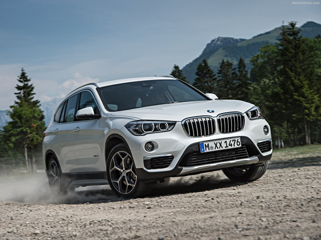 bmw x1 pic #146276