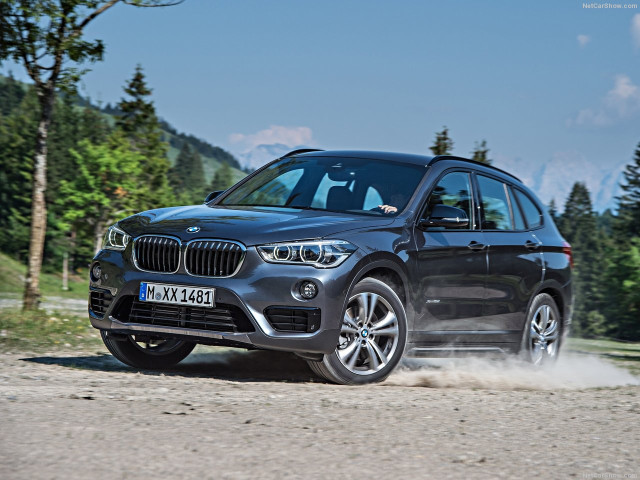 bmw x1 pic #146279