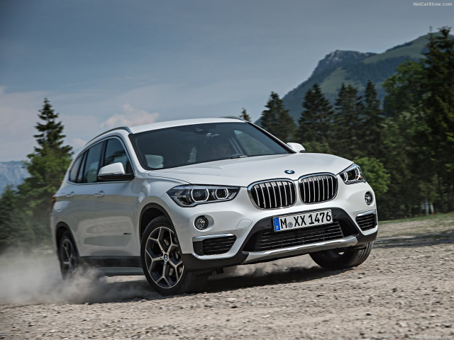 bmw x1 pic #146283