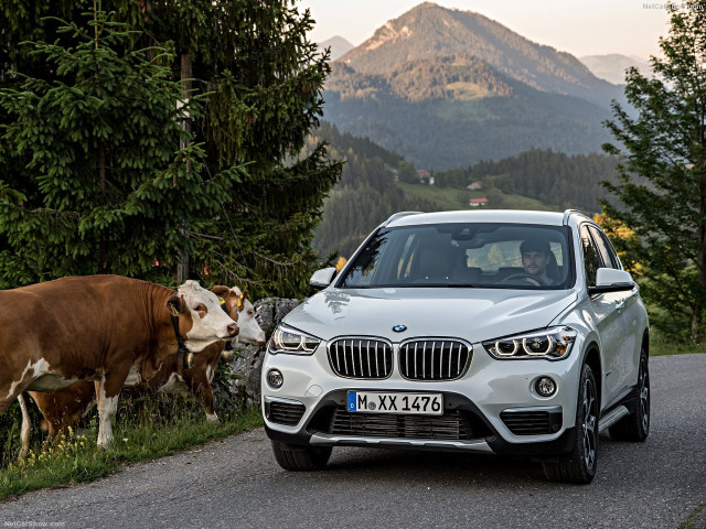 bmw x1 pic #146290