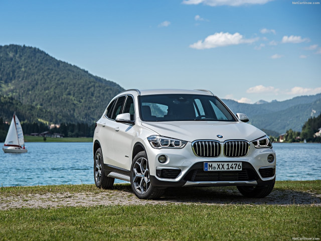 bmw x1 pic #146294