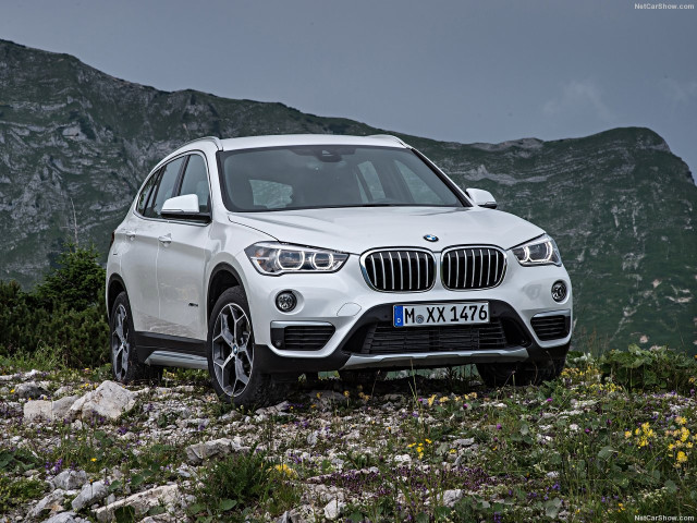 bmw x1 pic #146295