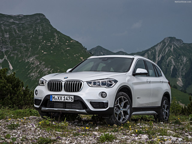 bmw x1 pic #146296