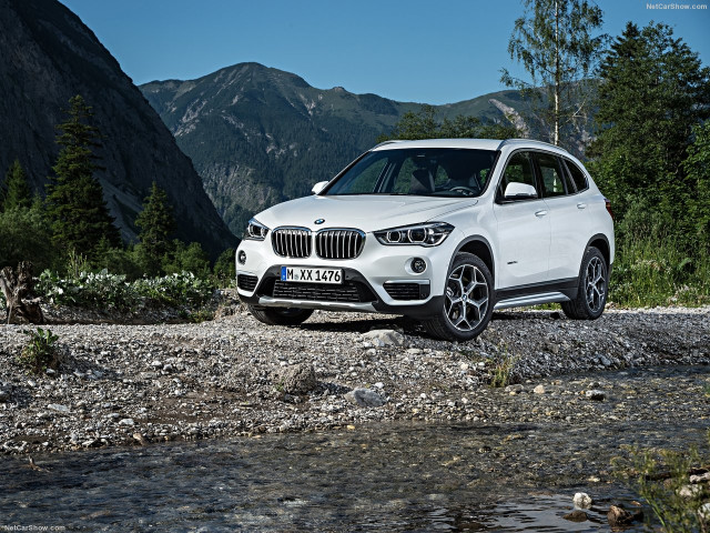 bmw x1 pic #146300