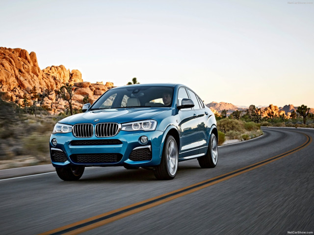 bmw x4 m pic #151544