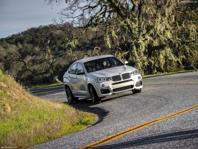 bmw x4 m pic #160764