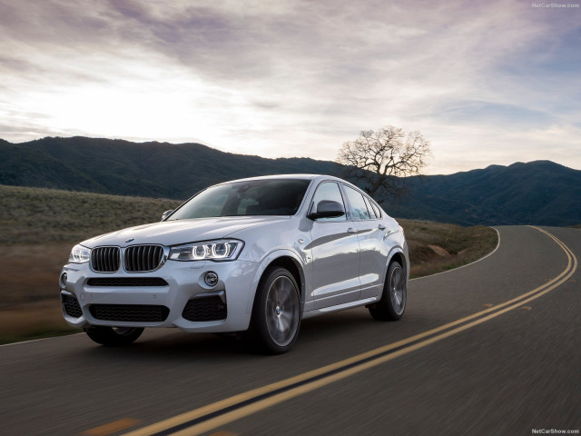 bmw x4 m pic #160775