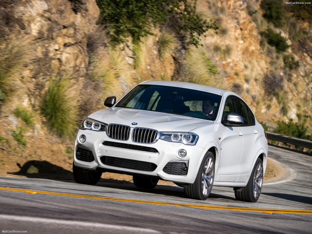 bmw x4 m pic #160779