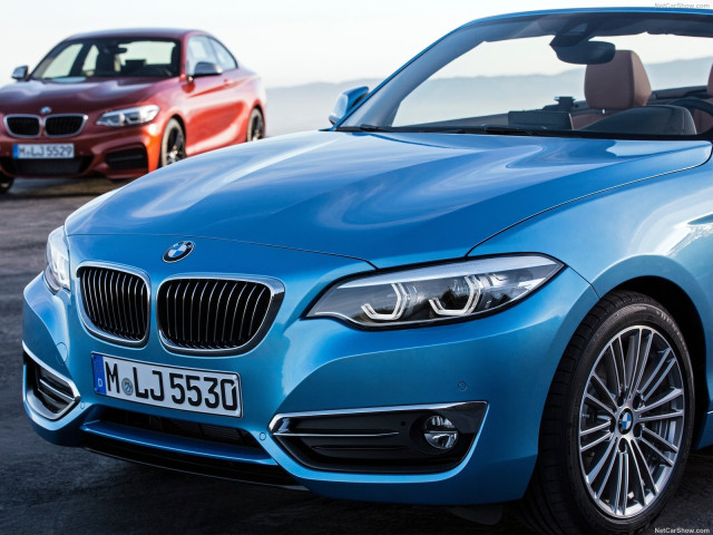 bmw 2-series convertible pic #180451