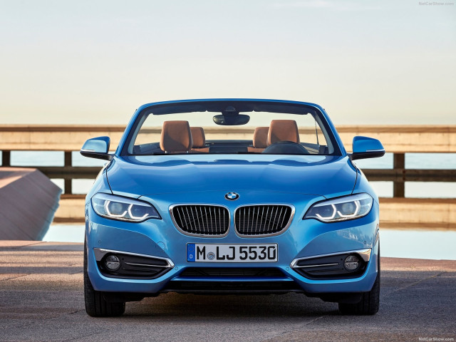 bmw 2-series convertible pic #180455