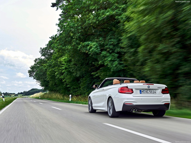 bmw 2-series convertible pic #180457