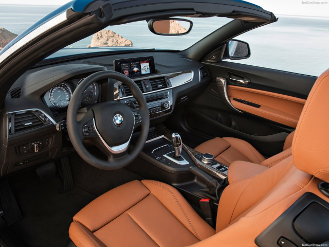 bmw 2-series convertible pic #180461