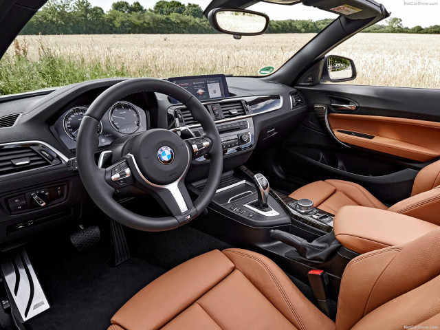 bmw 2-series convertible pic #180462