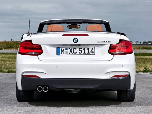 bmw 2-series convertible pic #180463