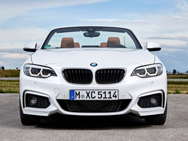 bmw 2-series convertible pic #180464