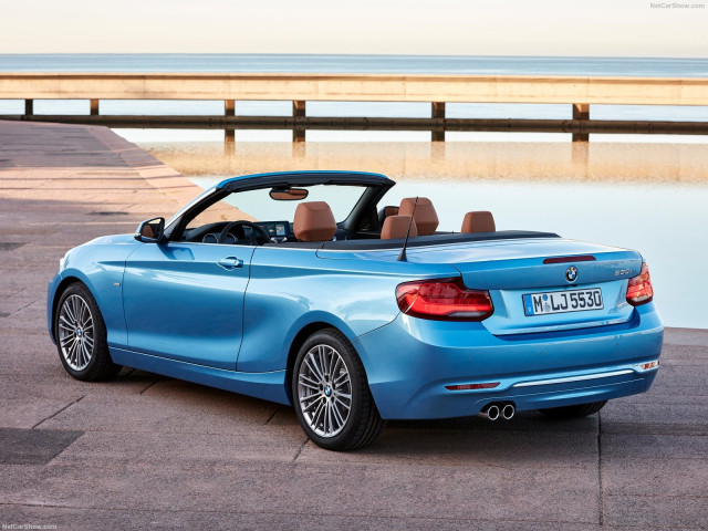 bmw 2-series convertible pic #180466