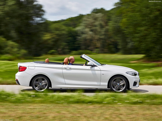 bmw 2-series convertible pic #180467