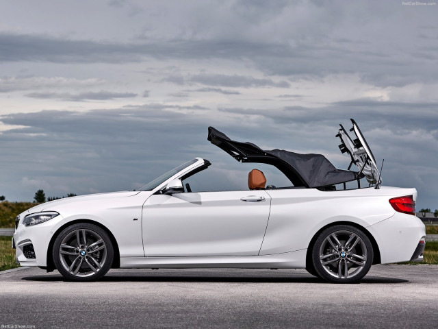 bmw 2-series convertible pic #180468