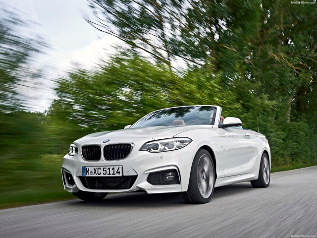 bmw 2-series convertible pic #180470