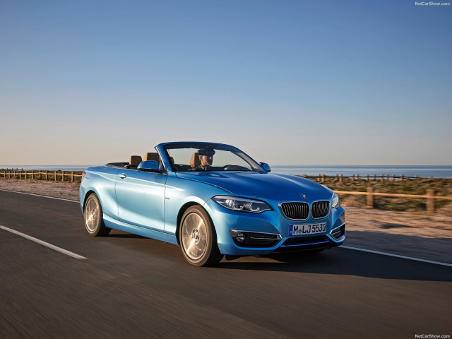 bmw 2-series convertible pic #180472