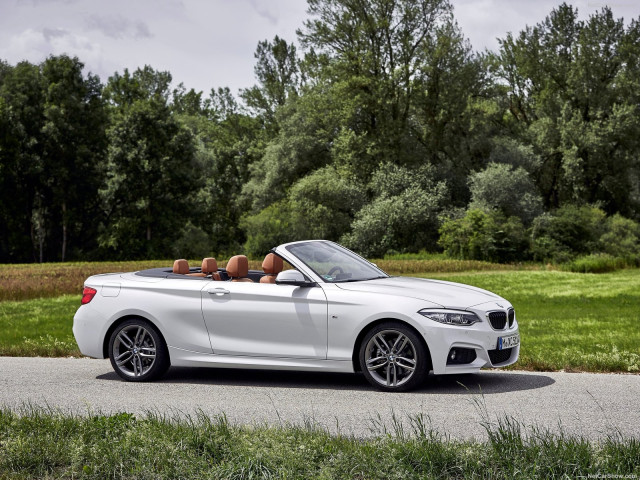 bmw 2-series convertible pic #180474