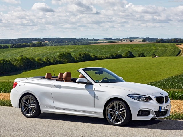 bmw 2-series convertible pic #180475