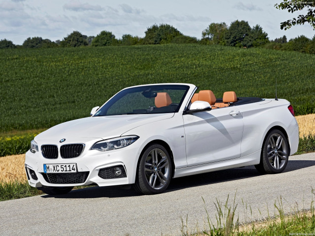 bmw 2-series convertible pic #180476