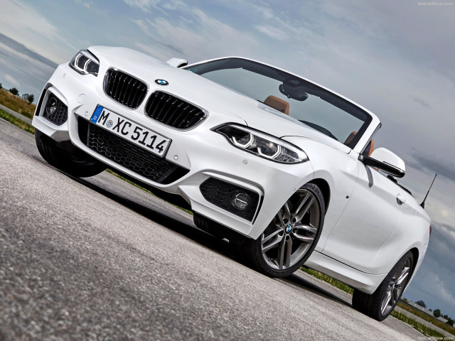 bmw 2-series convertible pic #180477