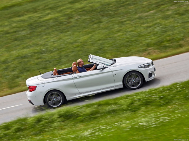 bmw 2-series convertible pic #180478