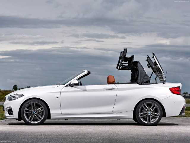 bmw 2-series convertible pic #180479