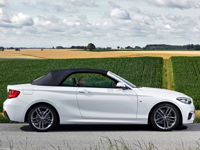 bmw 2-series convertible pic #180480