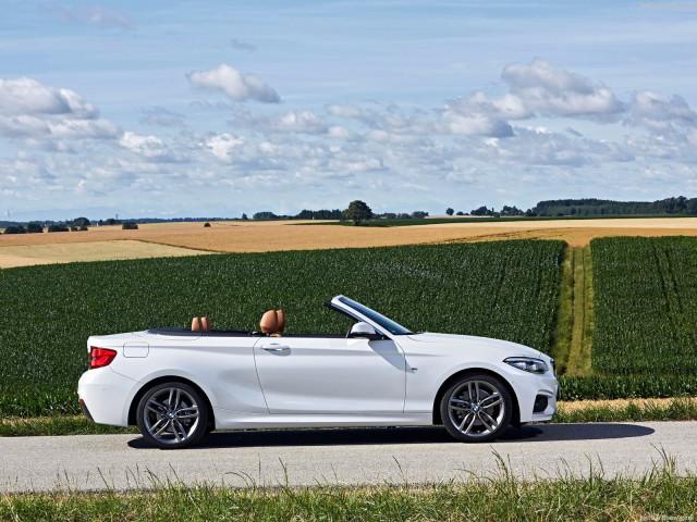 bmw 2-series convertible pic #180481