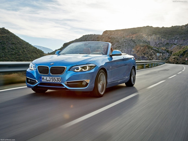 bmw 2-series convertible pic #180483