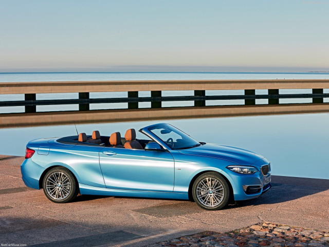 bmw 2-series convertible pic #180485