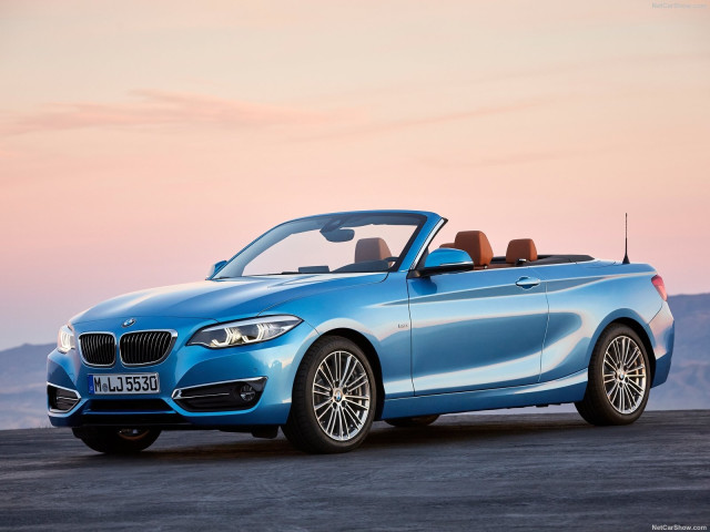 bmw 2-series convertible pic #180486