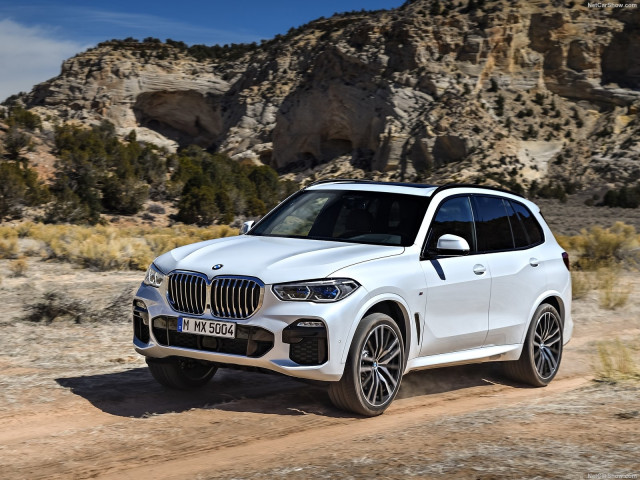 bmw x5 g05 pic #188947