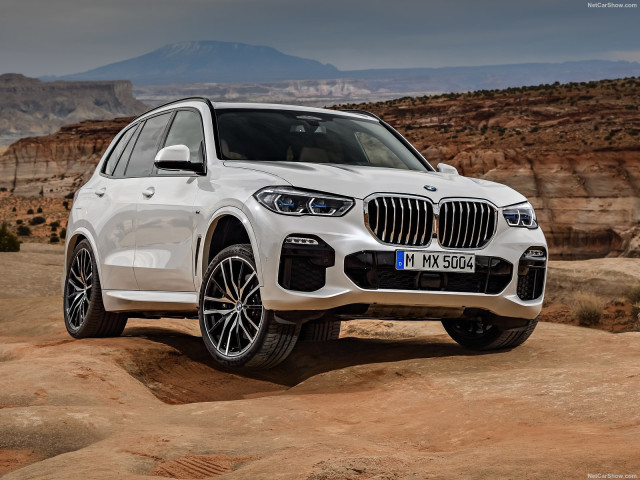 bmw x5 pic #188951