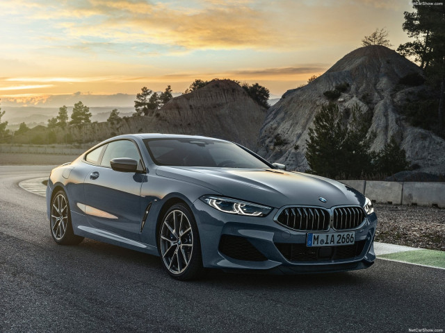 bmw 8-series g15 pic #189068