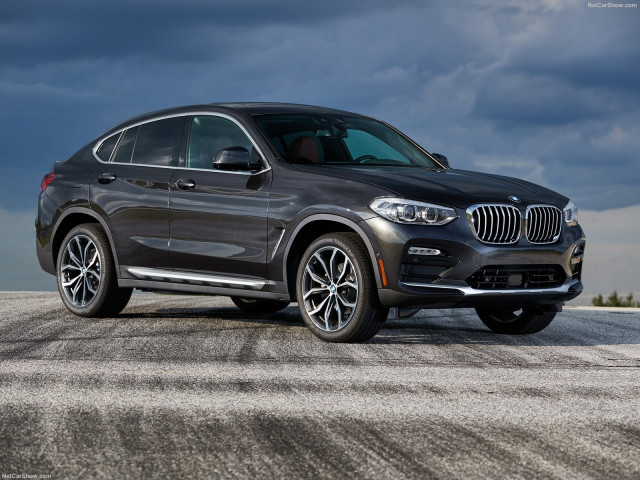 bmw x4 pic #189439