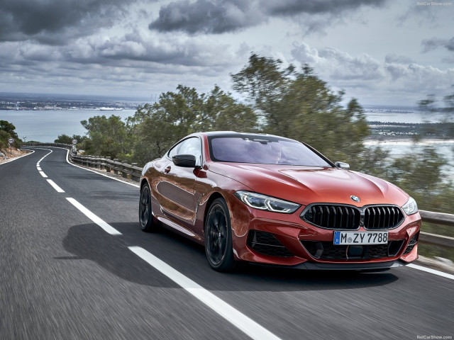 bmw 8-series pic #191354