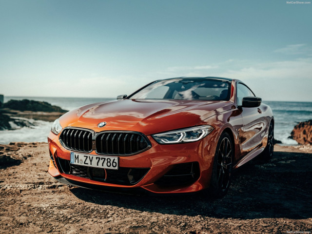 bmw 8-series g15 pic #191370