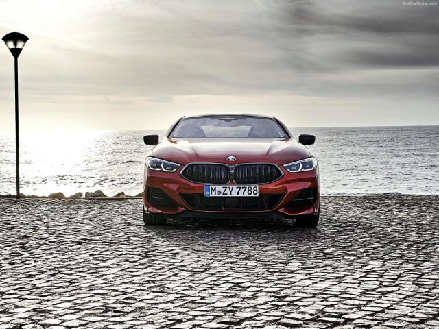 bmw 8-series pic #191374