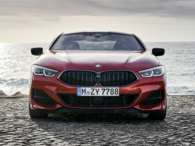 bmw 8-series g15 pic #191376