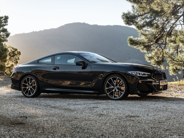 bmw 8-series pic #192648