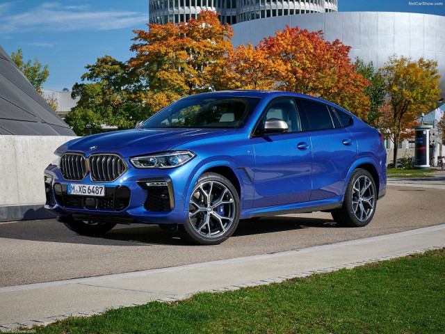 bmw x6 pic #197401